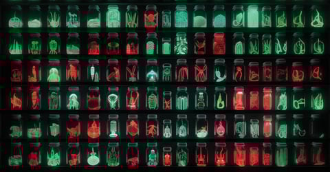 Osc R Embraces Github Will It Move The Needle On Supply Chain Security