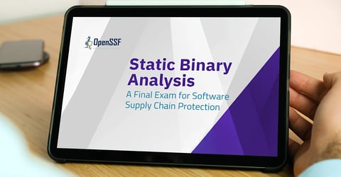 Static Binary Analysis: A Final Exam for Software Supply Chain Protection