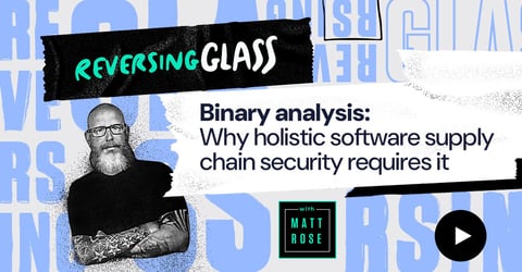 ReversingGlass: Binary Analysis