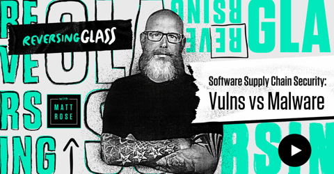 ReversingGlass: Software Supply Chain Security: Vulns & Malware