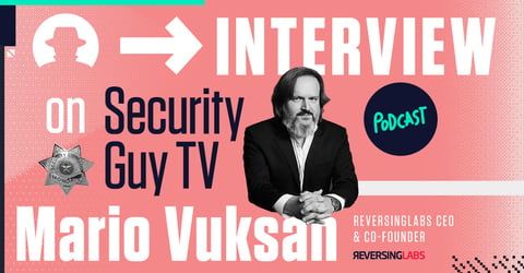 SecurityGuyTV.com Interviews ReversingLabs CEO Mario Vuksan